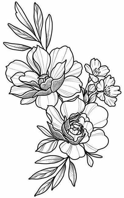 Pen And Ink Flower Drawings at PaintingValley.com | Explore collection