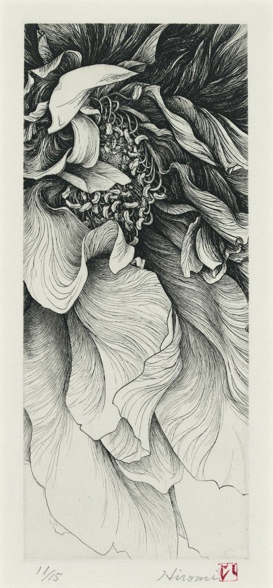 553x1188 pen and ink flower incredible! pen and ink of a flower is - Pen And Ink Flower Drawings