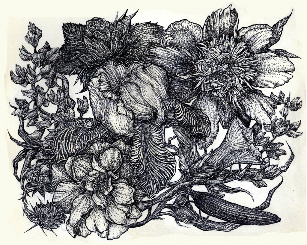 Pen And Ink Flower Drawings at Explore collection