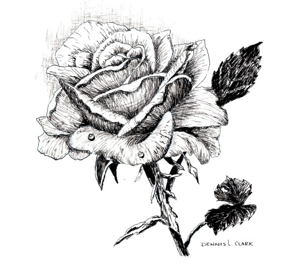 600x554 How To Draw A Rose In Pen And Ink Online Art Lessons - Pen And Ink Flower Drawings