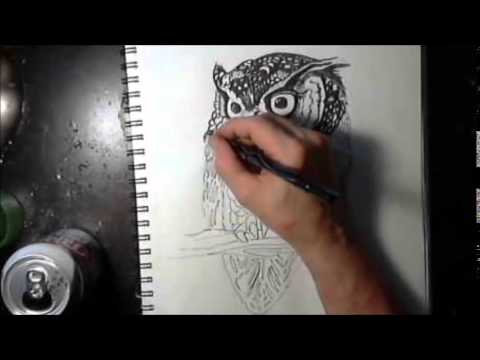 480x360 How To Draw A Owl In Pen And Ink - Pen And Ink Owl Drawing
