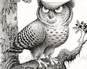 340x270 Ink Owl Drawing Etsy - Pen And Ink Owl Drawing