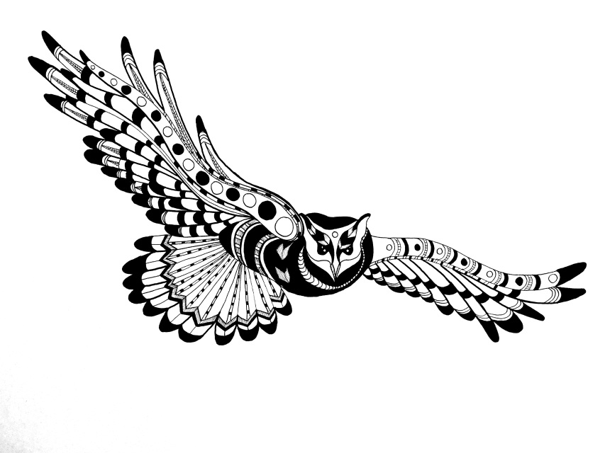 853x640 Orignal Drawings Of Birds In Black Pen And Ink, Native American Style - Pen And Ink Owl Drawing