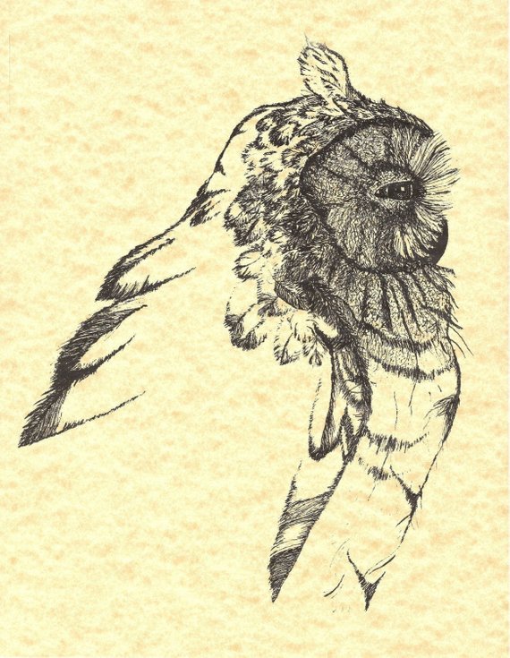 570x735 owl art owl drawing owl pen n ink owl on parchment owl etsy - Pen And Ink Owl Drawing