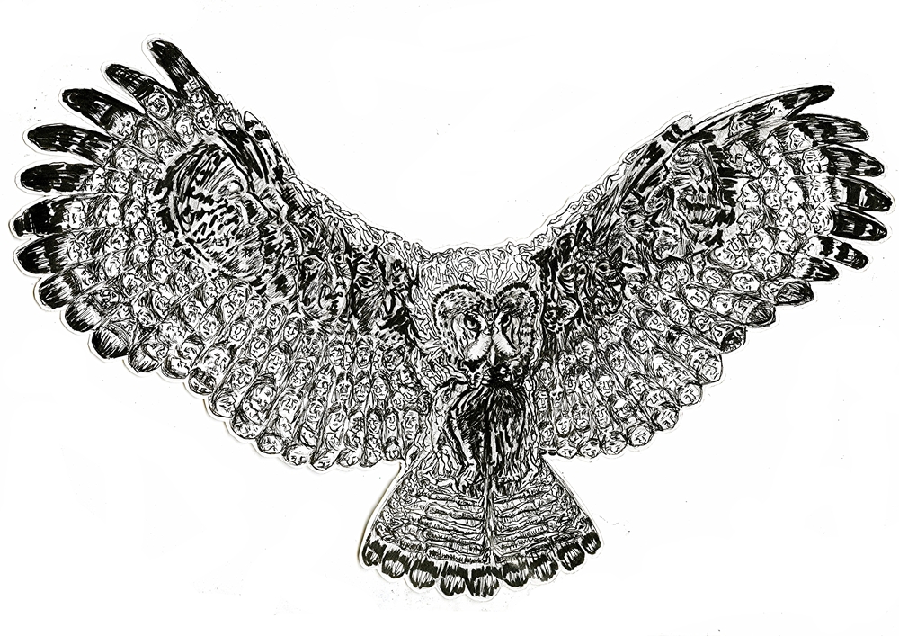 1000x707 Painting Drawing T Crooks - Pen And Ink Owl Drawing