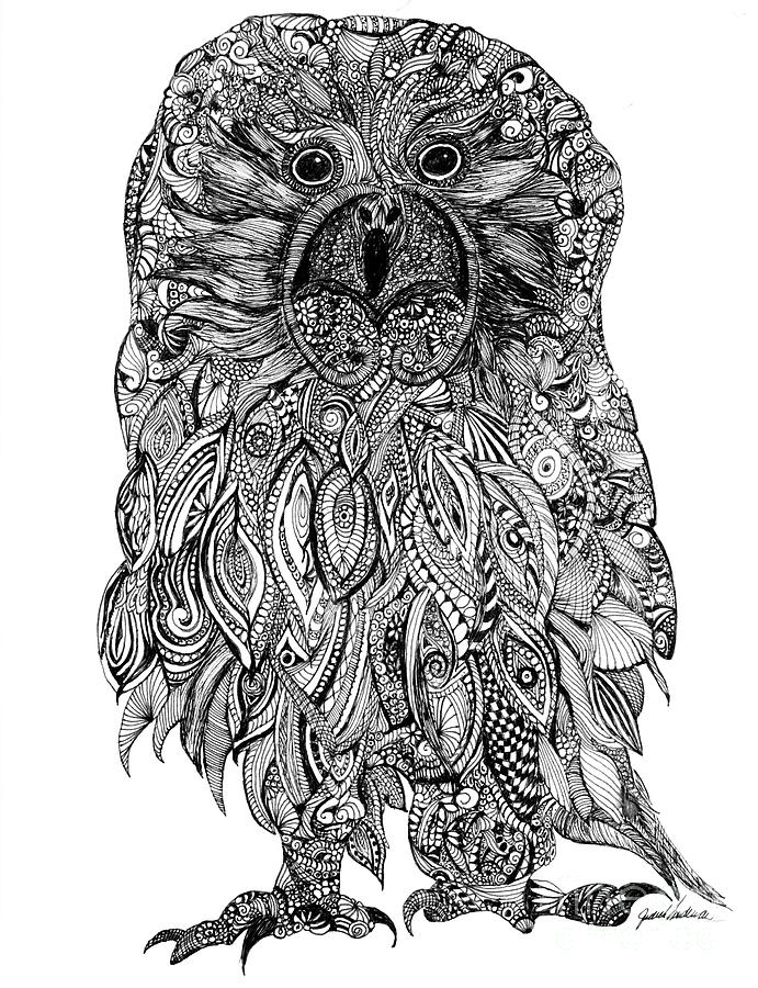 691x900 Pen And Ink Owl Drawing - Pen And Ink Owl Drawing
