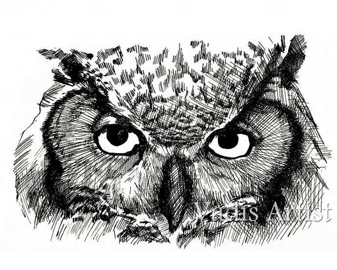 690x552 Pen And Ink Owl Drawing Great Horned Owl Pritchettprints - Pen And Ink Owl Drawing