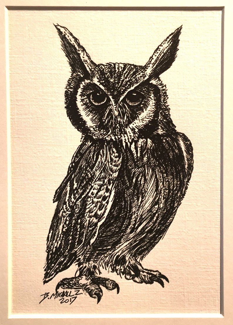 794x1109 Pen And Ink Owl Drawing Original Hand Drawn Archivally Etsy - Pen And Ink Owl Drawing