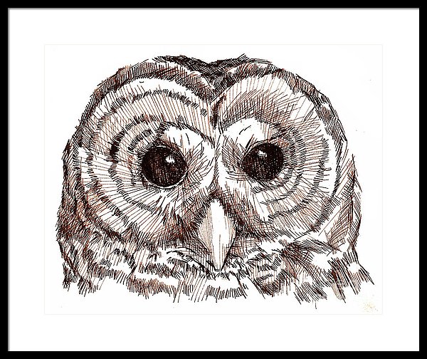 600x504 sepia pen and ink owl drawing framed print - Pen And Ink Owl Drawing