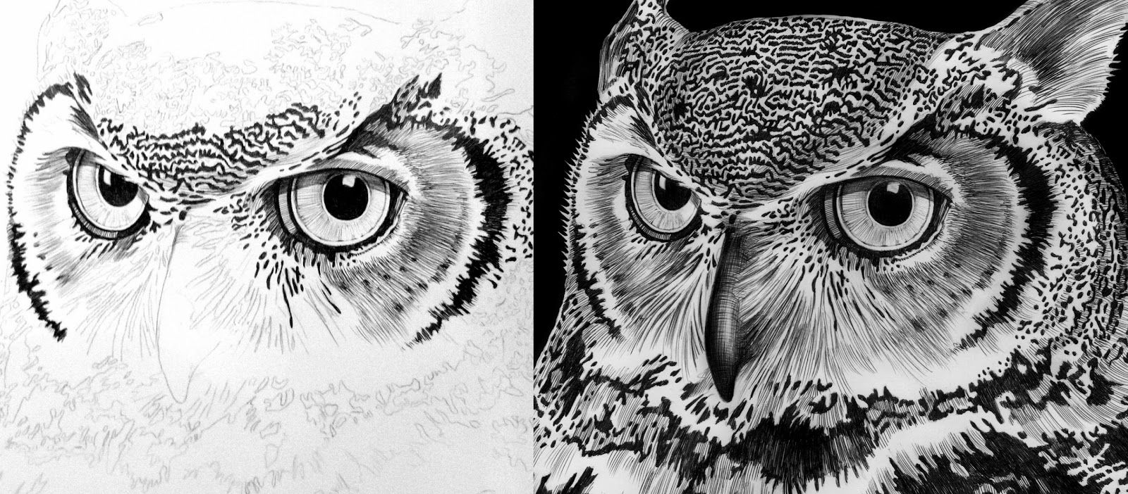 1600x702 tim jeffs art - Pen And Ink Owl Drawing