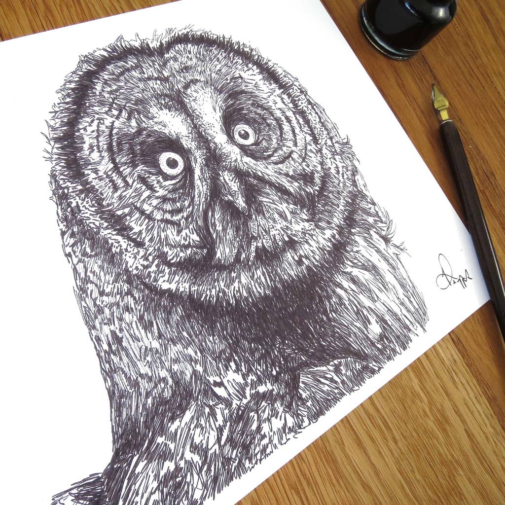 1024x1024 great grey owl pen and ink illustration framed print - Pen And Ink Owl Drawing
