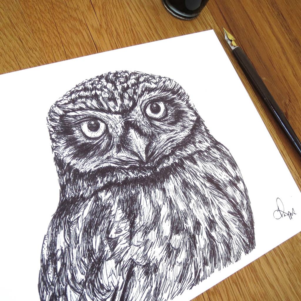 Pen And Ink Owl Drawing At Explore Collection Of Pen And Ink Owl Drawing 6550