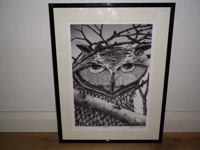 800x600 Pen And Ink Owl - Pen And Ink Owl Drawing