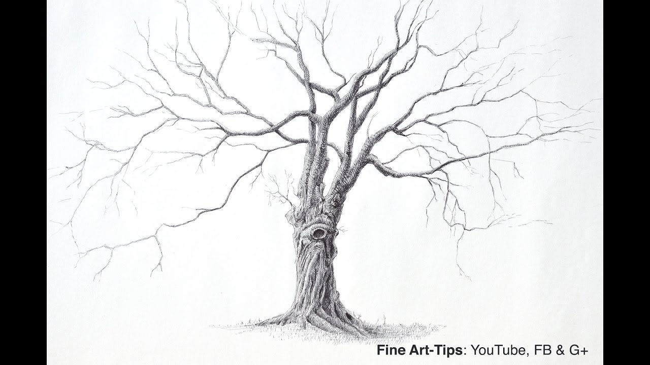 1280x720 How To Draw A Beautiful Tree With Pen - Pen And Ink Tree Drawings