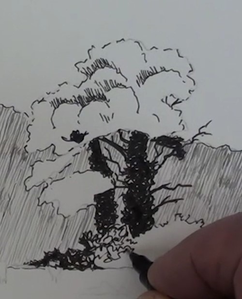 500x617 How To Draw A Meadow Scene In Pen And Ink Online Art Lessons - Pen And Ink Tree Drawings
