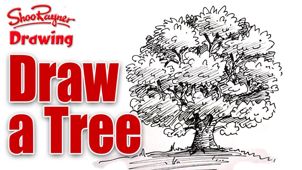 1280x720 How To Draw A Tree In Pen And Ink - Pen And Ink Tree Drawings