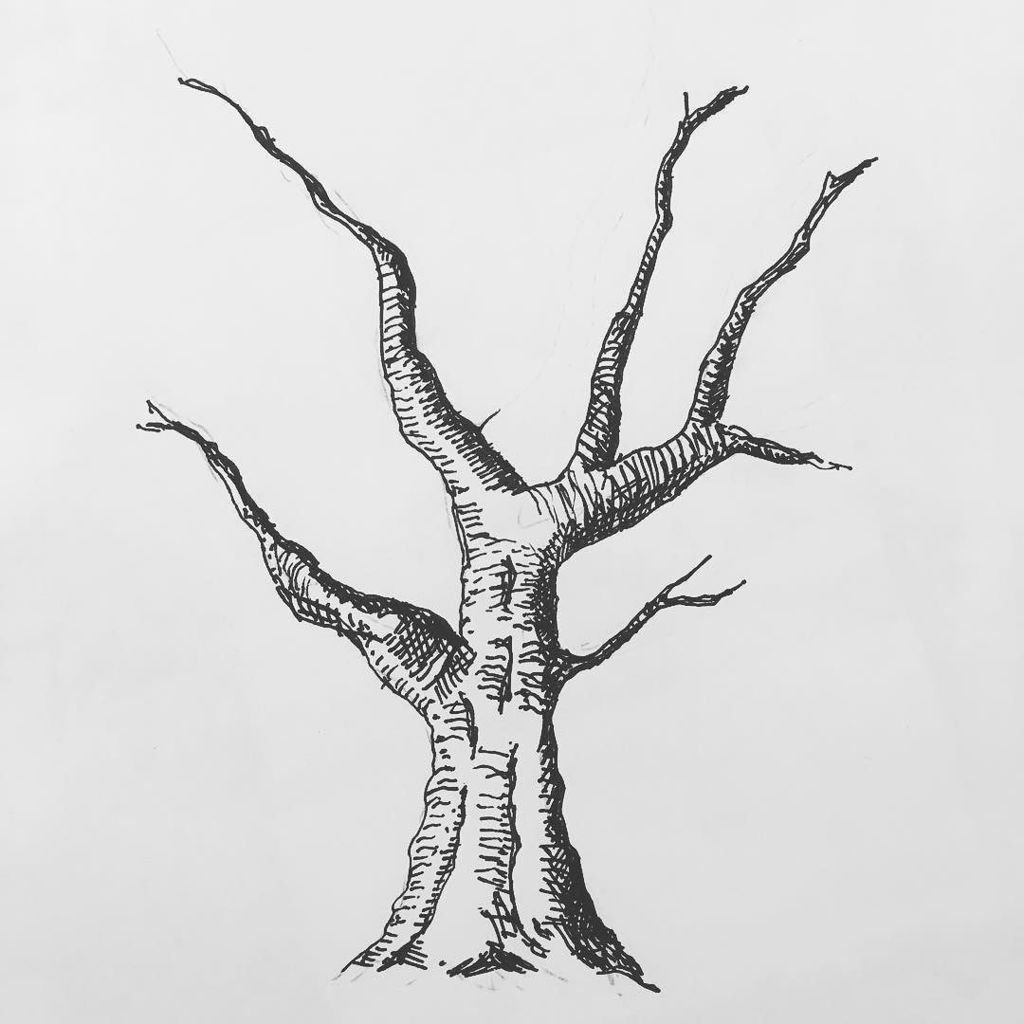Pen And Ink Tree Drawings at Explore collection of