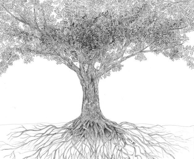 627x516 Louis Finished This Pen And Ink Tree Drawing - Pen And Ink Tree Drawings
