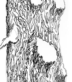 300x341 Tree Pen And Ink Drawing St - Pen And Ink Tree Drawings