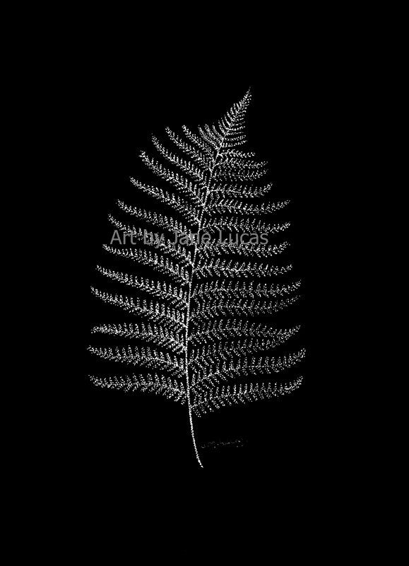 579x800 New Zealand Fern Leaf - Pen And Paper Drawing