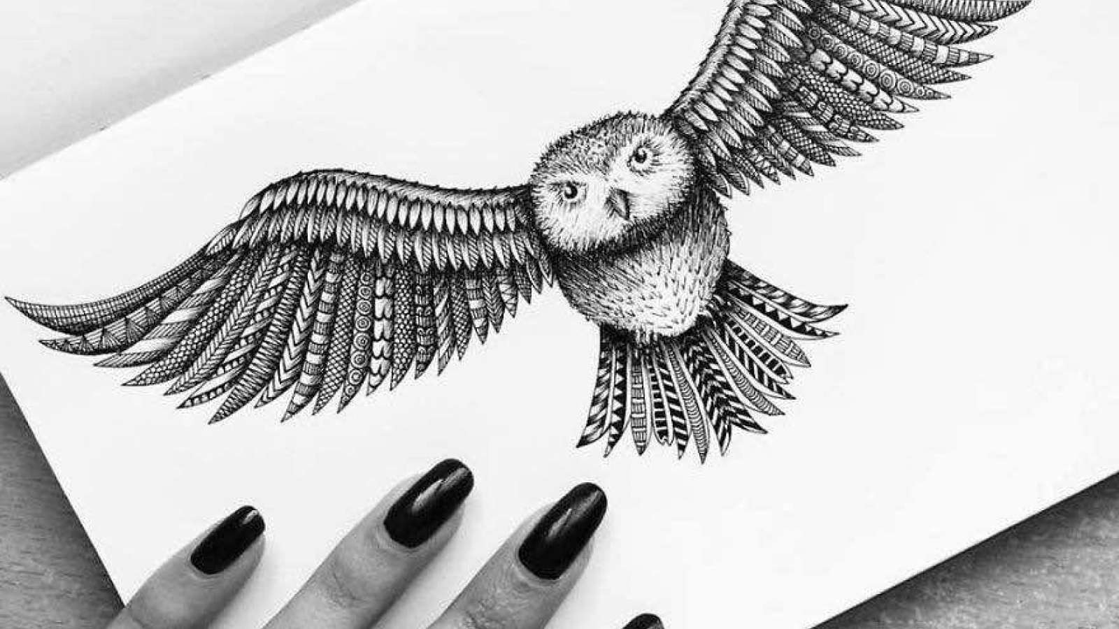 Pen And Paper Drawing at Explore collection of Pen