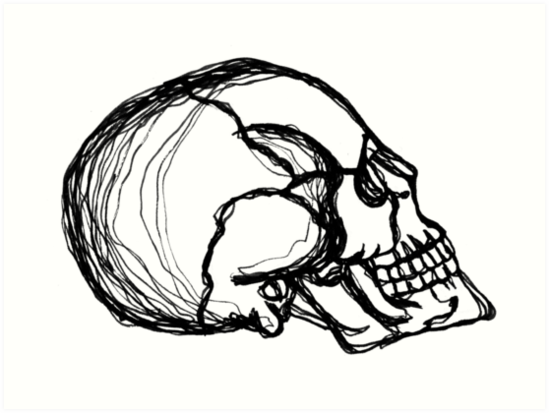 549x413 Continuous Line Skull Pen Drawing Art Prints - Pen Line Drawing