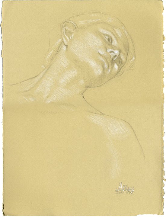 550x722 drawing basics on midtone paper - Pencil And Paper Drawing