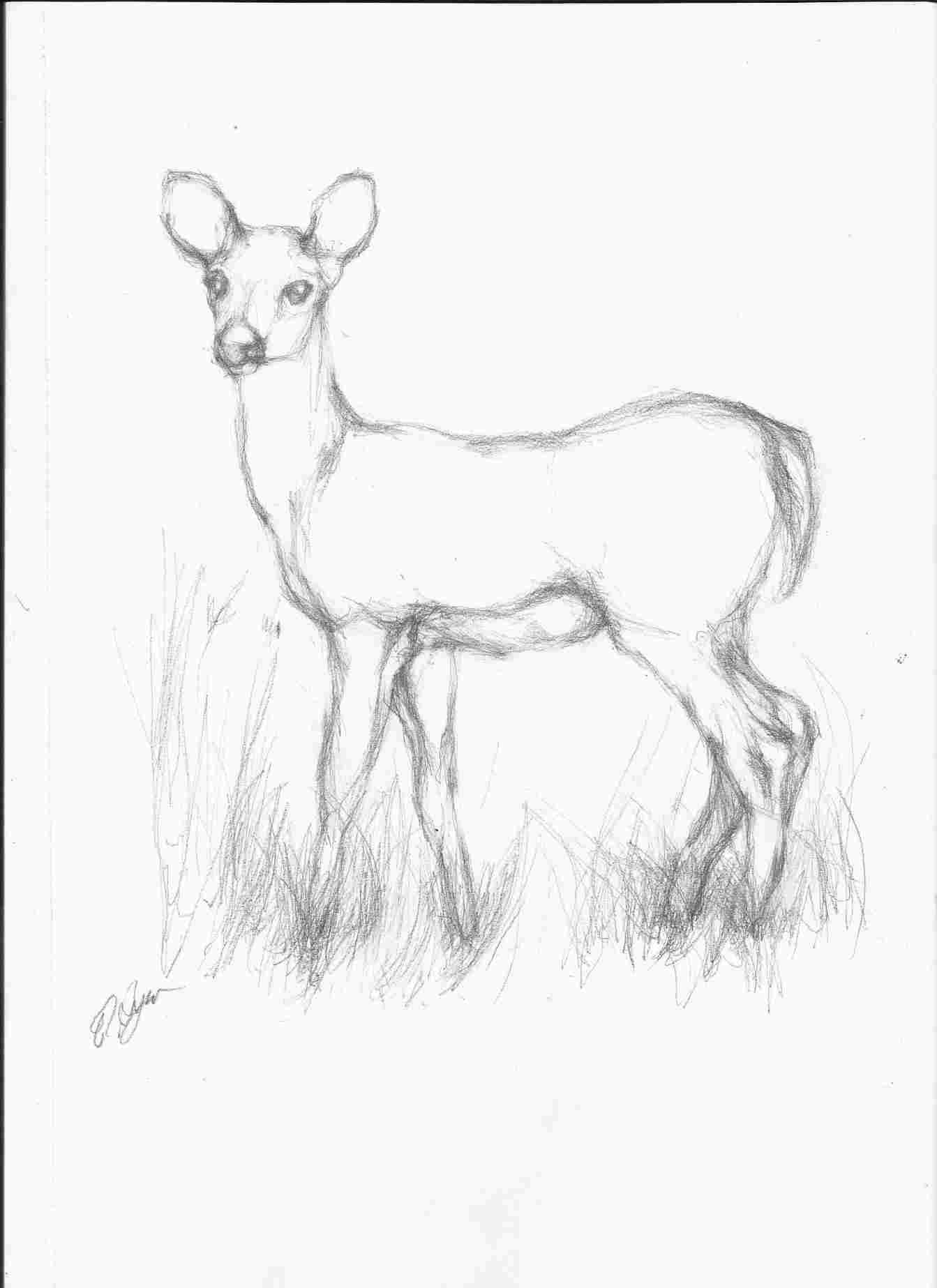 1343x1847 Simple Pencil Sketch Pictures Of Nature Pencil Sketching Of Nature - Pencil Art Drawing