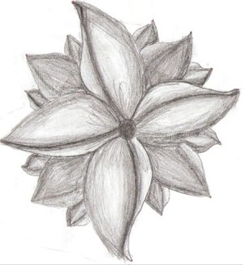 353x385 pencil drawing for beginners ebook - Pencil Drawing