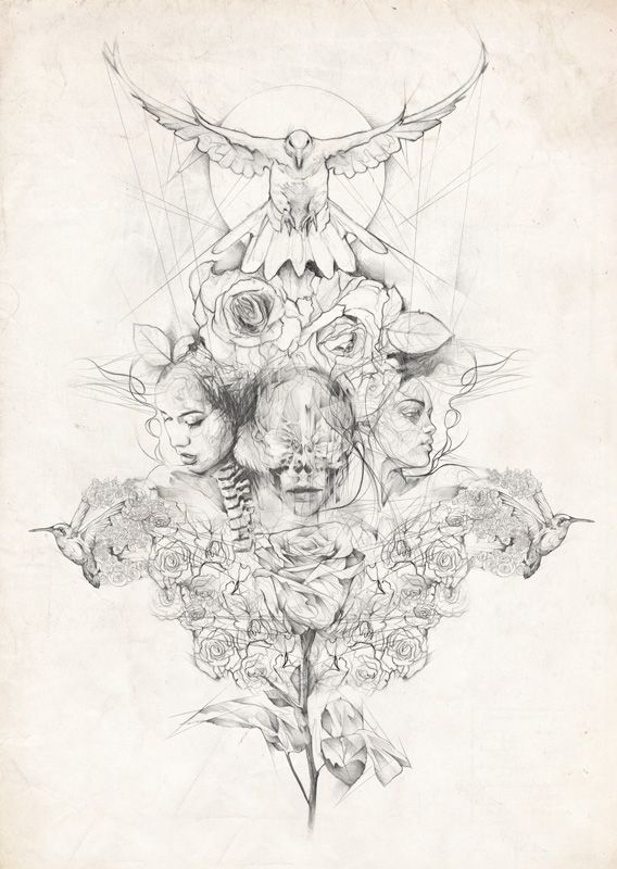 568x800 pencil drawing montage on vintage paper background - Pencil Drawing Background