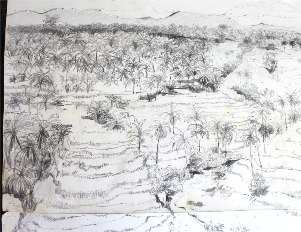 1000x770 Bali Pencil Drawing - Pencil Drawing Book