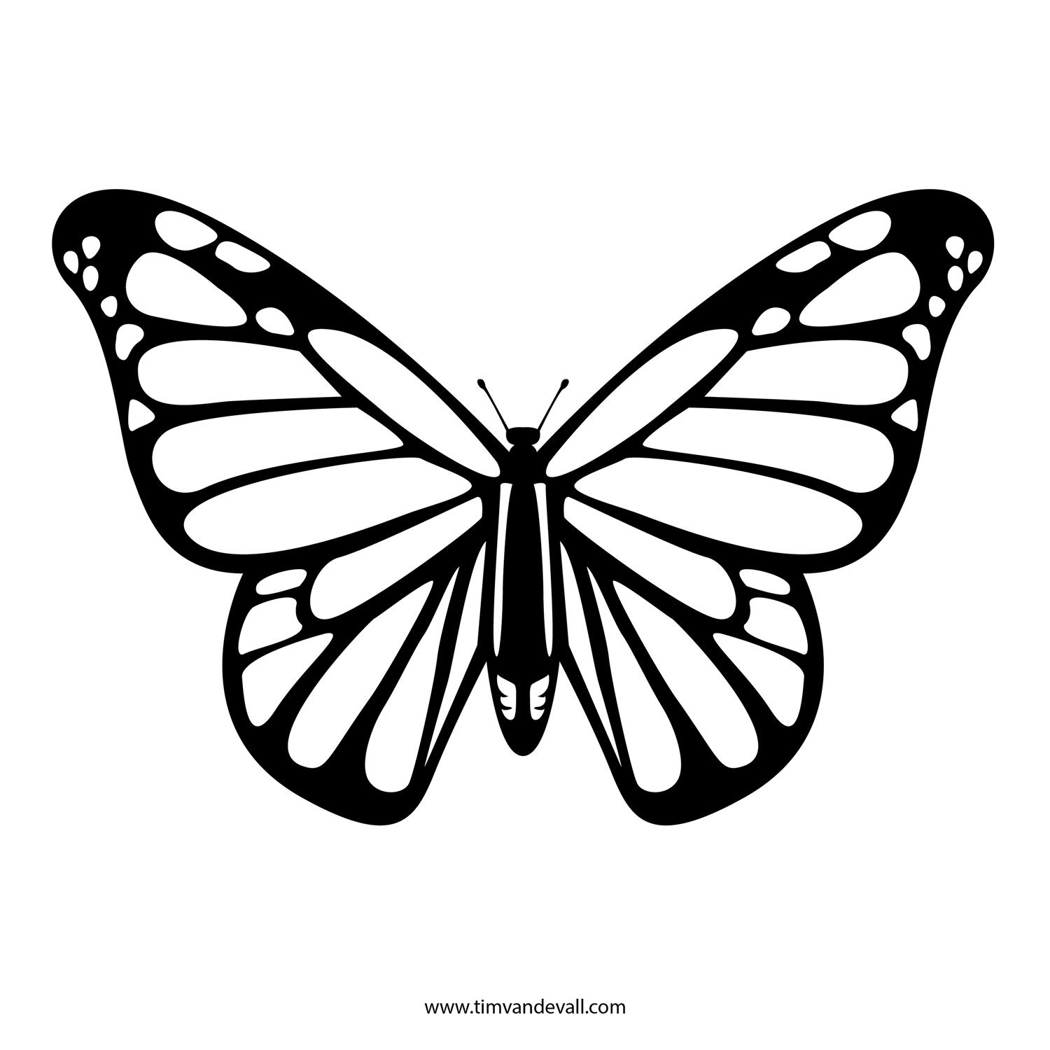 1500x1500 Queen Butterfly Pencil Sketch And Image Result For Monarch - Pencil Drawing Collage
