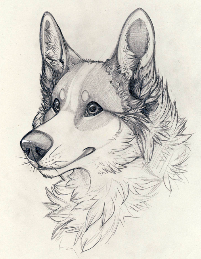 699x900 Pencil Sketch - Pencil Drawing Download