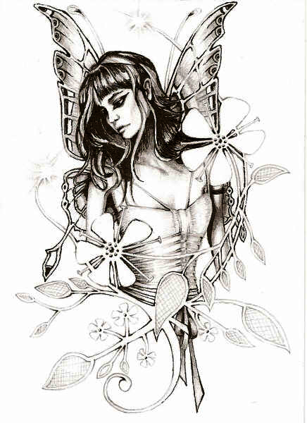 Fairy Drawing Pencil And Ink Taniajessicasmith - Pencil Drawing Fairies. 