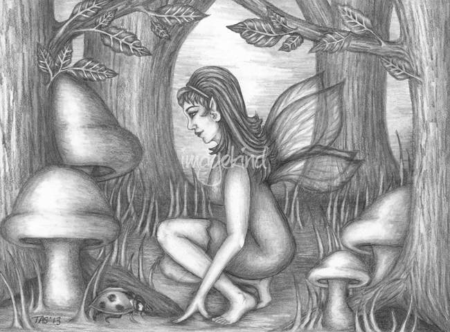 650x480 fairy in the wood pencil - Pencil Drawing Fairies