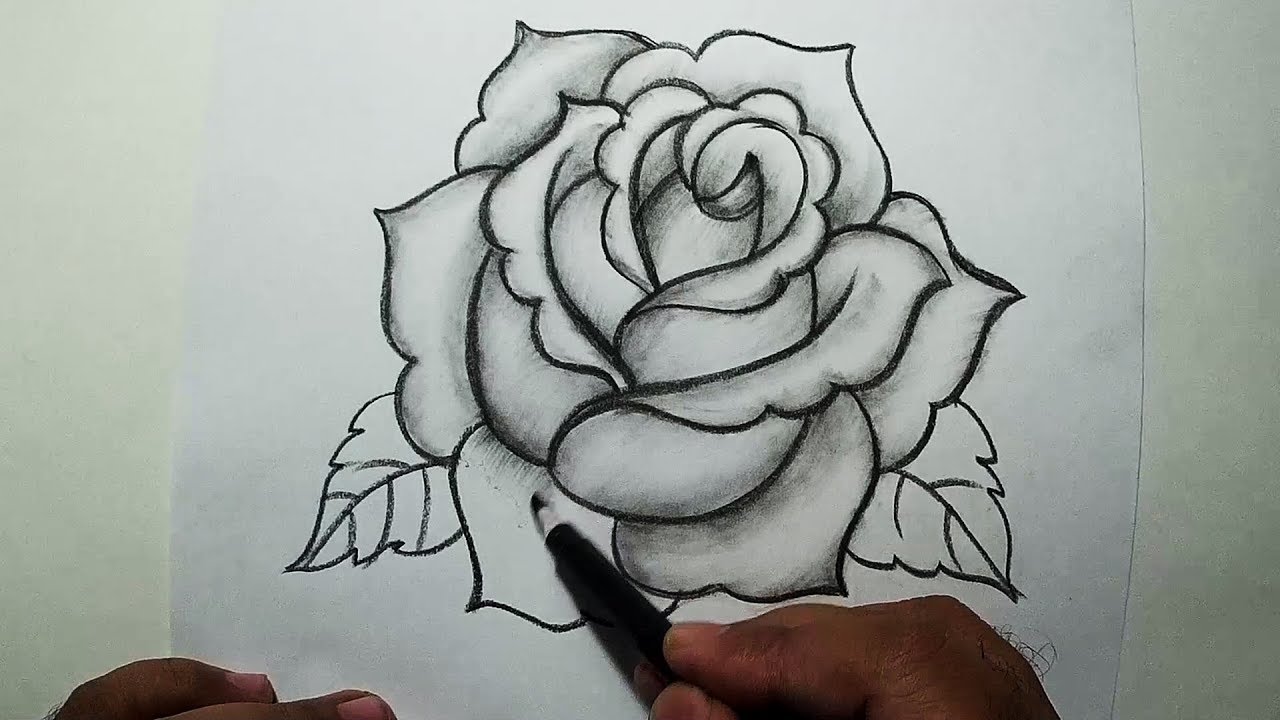 1280x720 How To Draw A Rose Easy Pencil Drawing - Pencil Drawing For Beginners