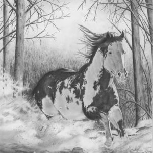 300x300 pencil drawing gallery - Pencil Drawing Gallery