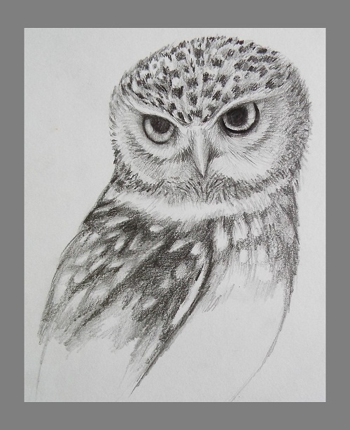 500x614 pencil drawing gallery - Pencil Drawing Gallery