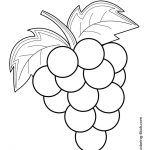 Pencil Drawing Grapes at PaintingValley.com | Explore collection of ...