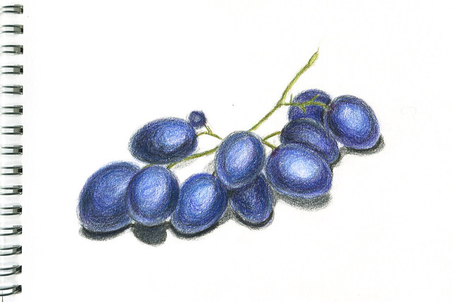 640x427 drawing grapes colored pencils pictures and stories - Pencil Drawing Grapes