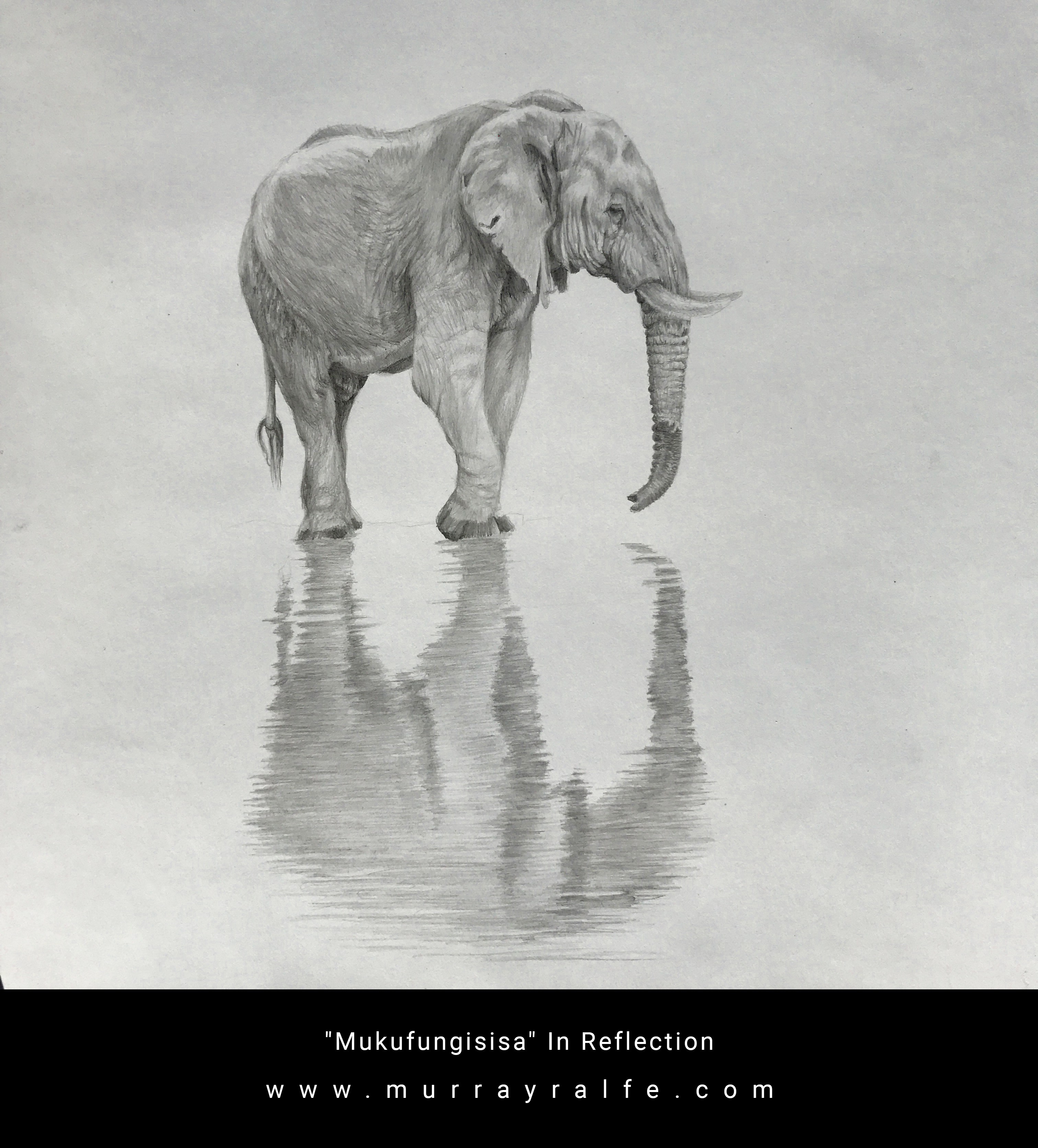 3024x3344 Pencil Drawings Murray Ralfe Art - Pencil Drawing Images