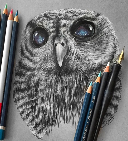 538x594 stunning animals realistic pencil drawing - Pencil Drawing Images Animals