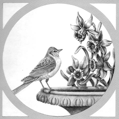 480x480 Photos Flowers Pencil Arts - Pencil Drawing Images Flowers