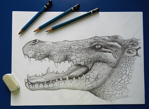 500x366 Pencil Drawing And Sketching Class - Pencil Drawing Lessons