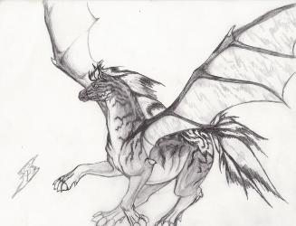 drawings of dragons full body