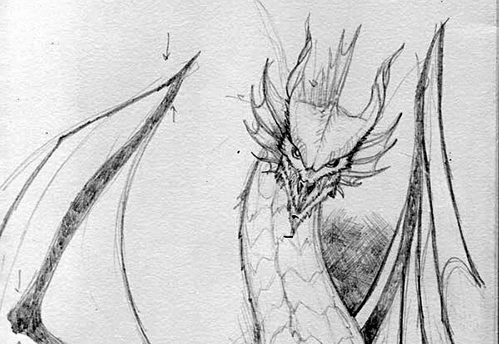 700x483 Sketches Of Dragons With Pencil Awesome Pencil Drawings Dragon - Pencil Drawing Of A Dragon