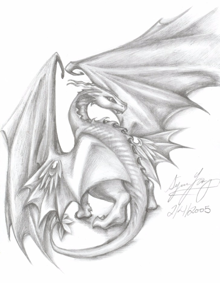 728x935 top stunning and realistic dragon drawings - Pencil Drawing Of A Dragon
