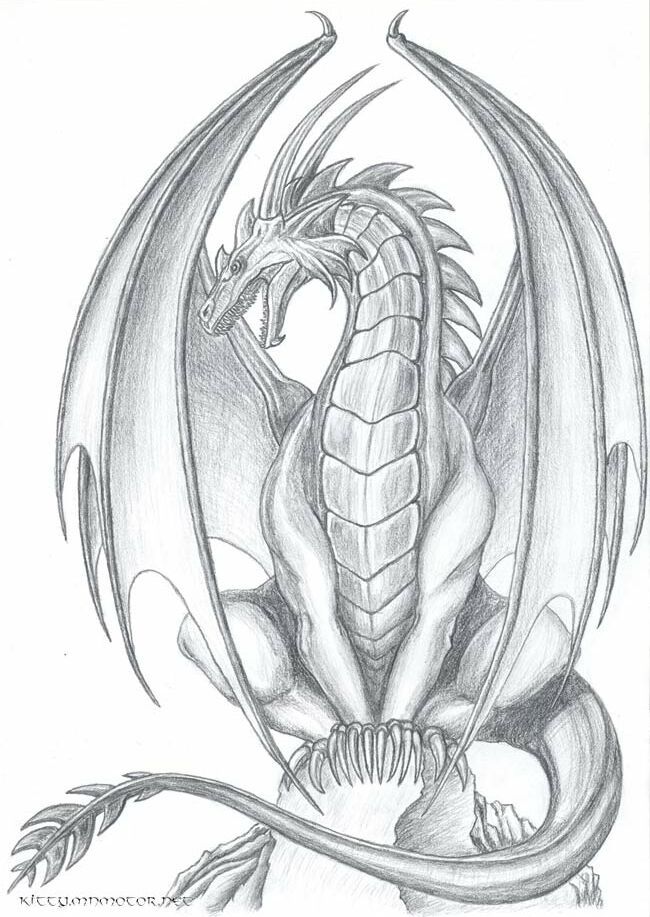 Unique Dragon Pencil Drawing Sketches for Adult