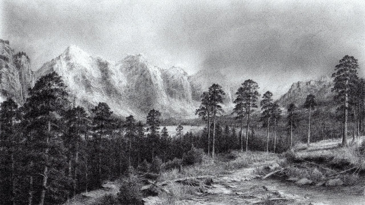 Pencil Drawing Of A Forest at Explore collection