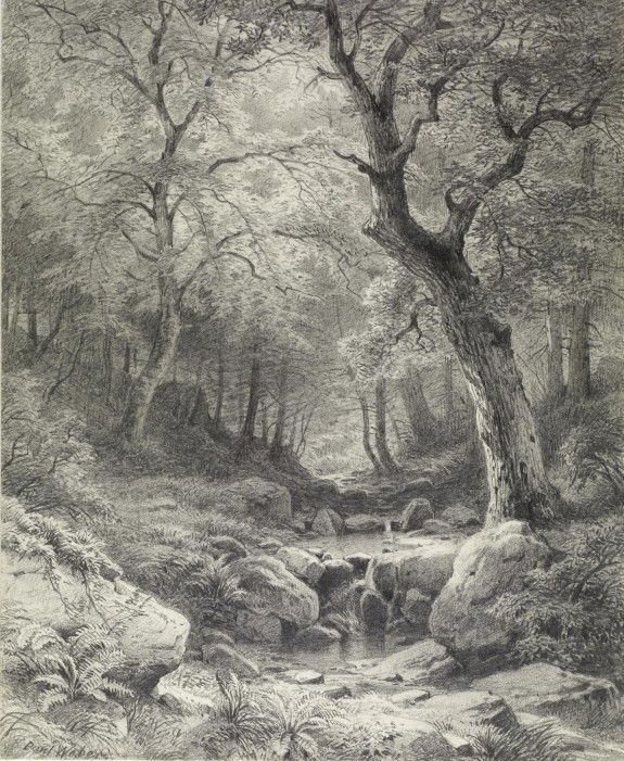 Pencil Drawing Of A Forest at Explore collection